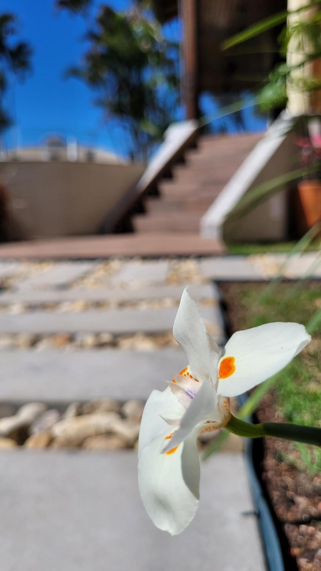 Apart Hotel Beira Do Mar ฟลอเรียนอโปลิส ภายนอก รูปภาพ